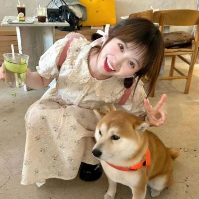 松林外
